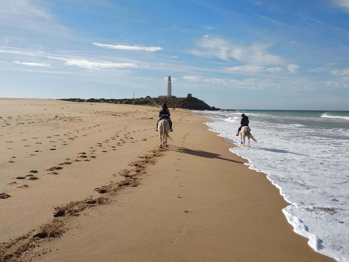 Viviendas Turisticas El Mero